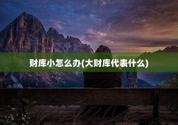 财库小怎么办(大财库代表什么)
