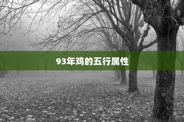 93年鸡的五行属性