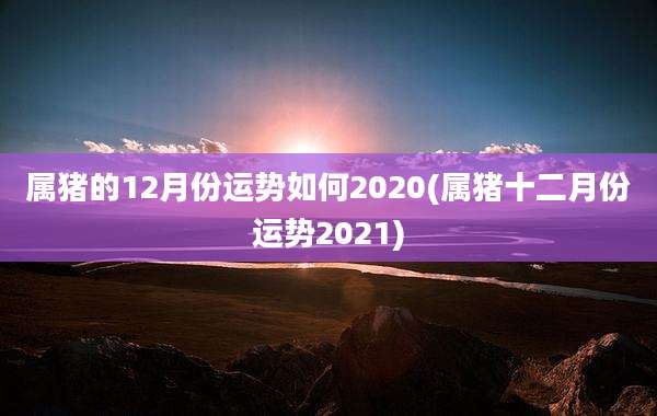 属猪的12月份运势如何2020(属猪十二月份运势2021)