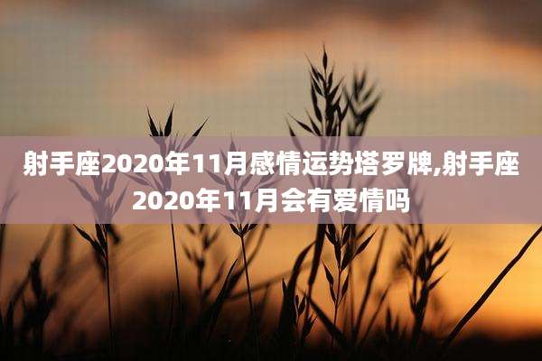 射手座2020年11月感情运势塔罗牌,射手座2020年11月会有爱情吗