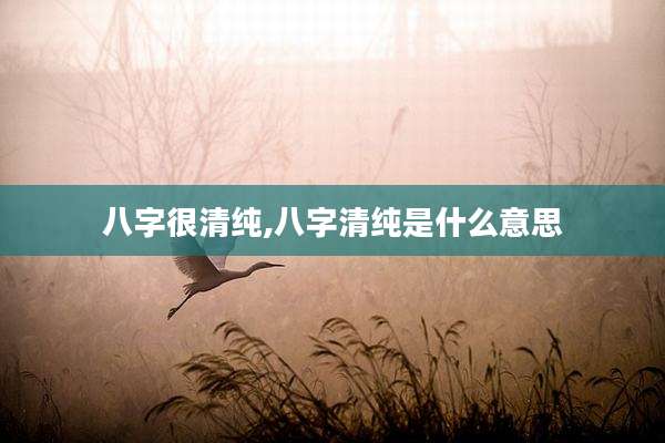 八字很清纯,八字清纯是什么意思