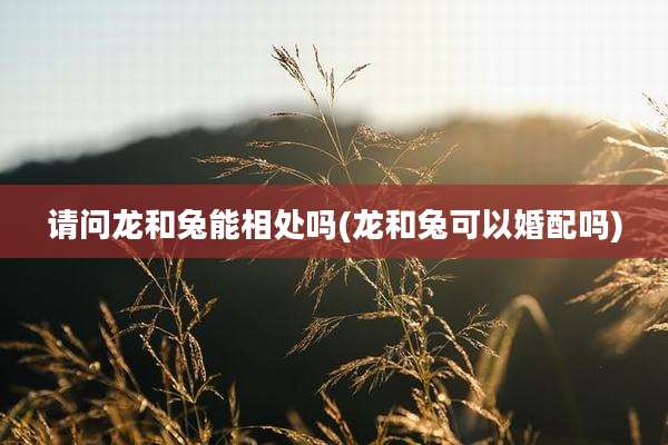 请问龙和兔能相处吗(龙和兔可以婚配吗)