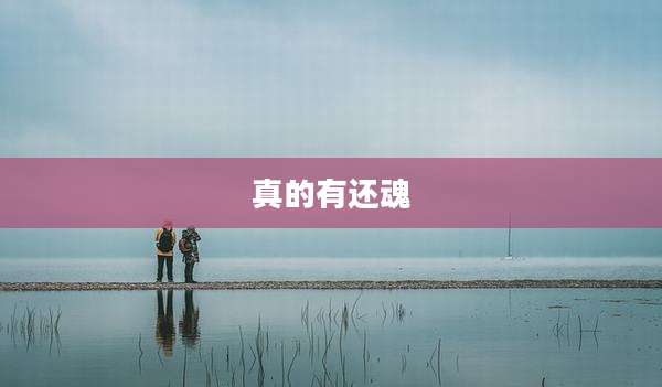 真的有还魂