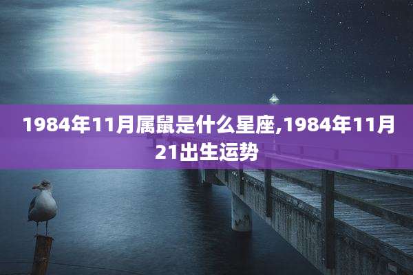 1984年11月属鼠是什么星座,1984年11月21出生运势