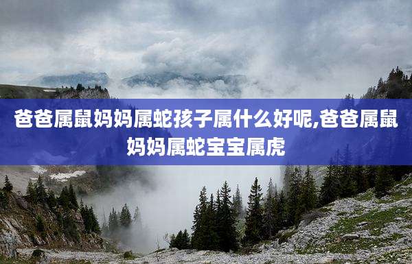 爸爸属鼠妈妈属蛇孩子属什么好呢,爸爸属鼠妈妈属蛇宝宝属虎