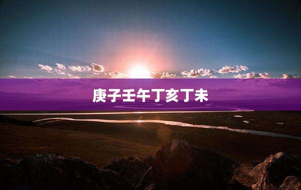 庚子壬午丁亥丁未