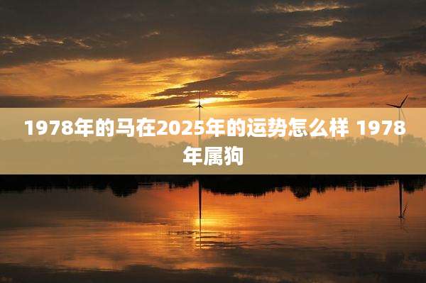 1978年的马在2025年的运势怎么样 1978年属狗