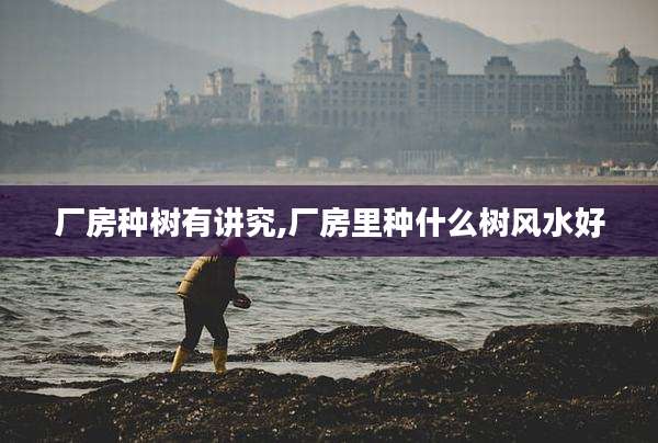 厂房种树有讲究,厂房里种什么树风水好