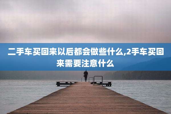 二手车买回来以后都会做些什么,2手车买回来需要注意什么
