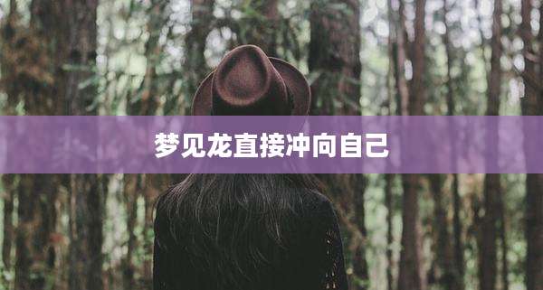 梦见龙直接冲向自己