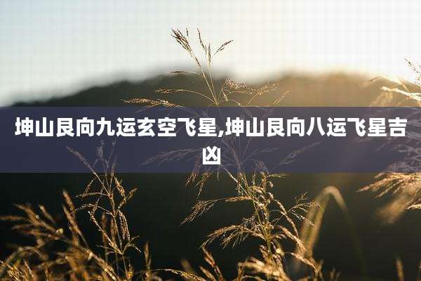 坤山艮向九运玄空飞星,坤山艮向八运飞星吉凶