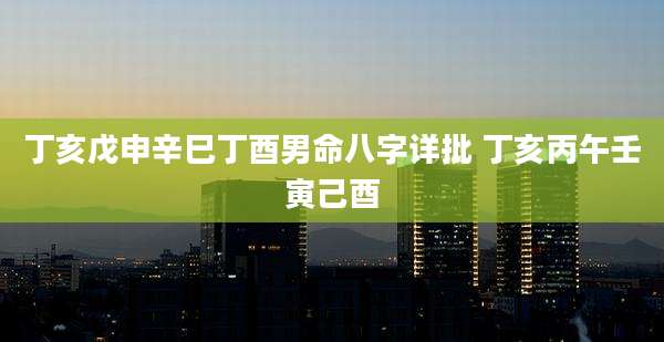 丁亥戊申辛巳丁酉男命八字详批 丁亥丙午壬寅己酉