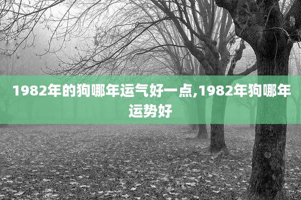 1982年的狗哪年运气好一点,1982年狗哪年运势好