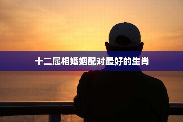 十二属相婚姻配对最好的生肖