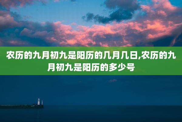 农历的九月初九是阳历的几月几日,农历的九月初九是阳历的多少号