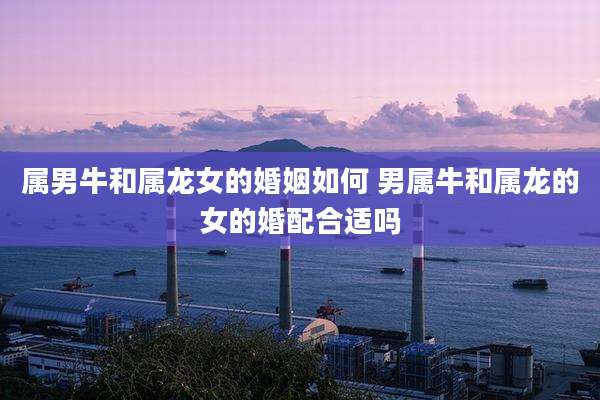 属男牛和属龙女的婚姻如何 男属牛和属龙的女的婚配合适吗