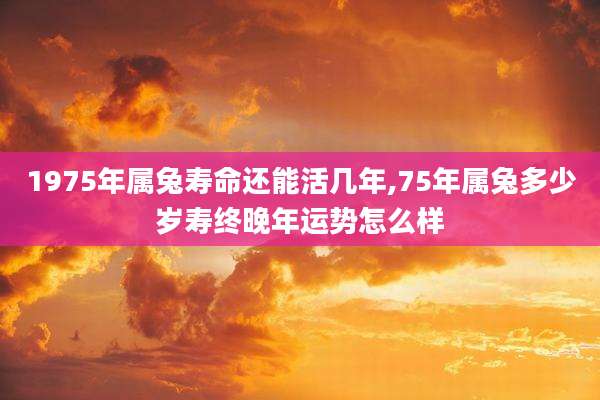 1975年属兔寿命还能活几年,75年属兔多少岁寿终晚年运势怎么样