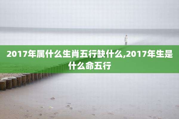 2017年属什么生肖五行缺什么,2017年生是什么命五行