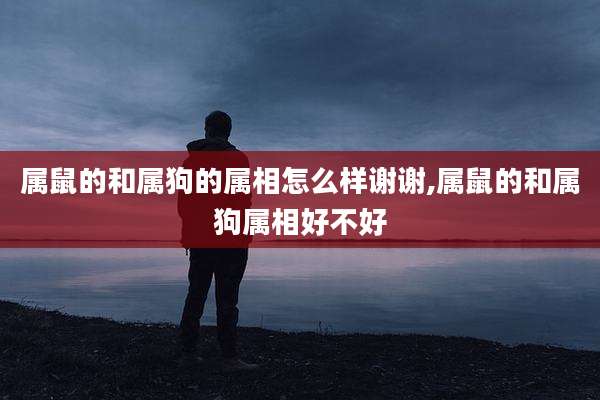 属鼠的和属狗的属相怎么样谢谢,属鼠的和属狗属相好不好