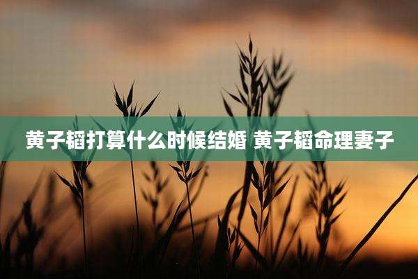 黄子韬打算什么时候结婚 黄子韬命理妻子