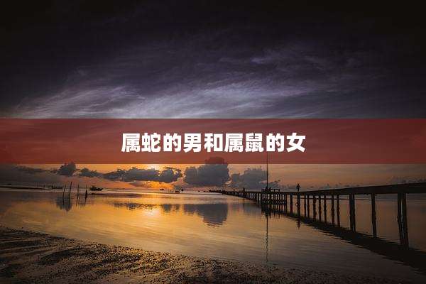属蛇的男和属鼠的女