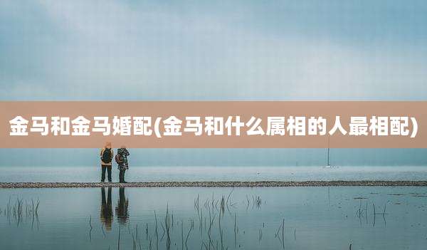 金马和金马婚配(金马和什么属相的人最相配)