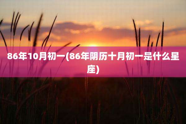 86年10月初一(86年阴历十月初一是什么星座)