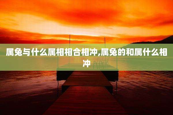 属兔与什么属相相合相冲,属兔的和属什么相冲