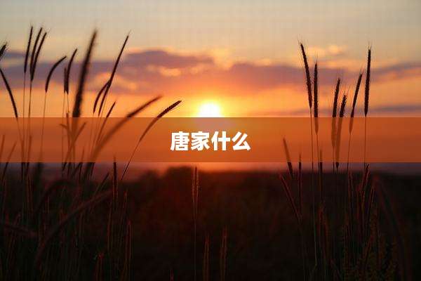 唐家什么