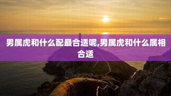 男属虎和什么配最合适呢,男属虎和什么属相合适