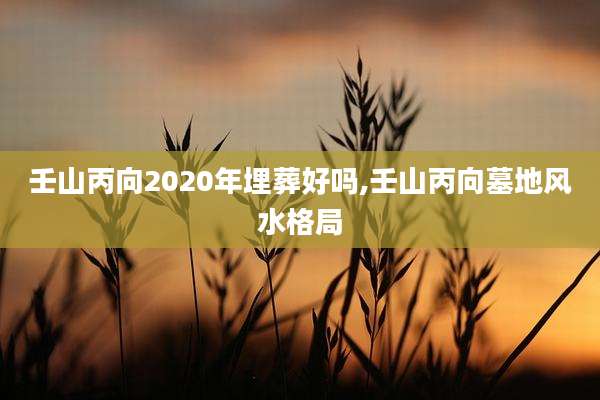 壬山丙向2020年埋葬好吗,壬山丙向墓地风水格局
