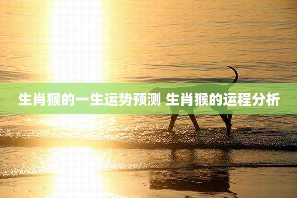 生肖猴的一生运势预测 生肖猴的运程分析