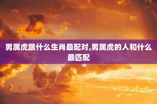 男属虎跟什么生肖最配对,男属虎的人和什么最匹配
