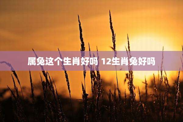 属兔这个生肖好吗 12生肖兔好吗