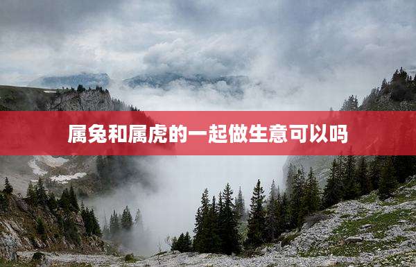 属兔和属虎的一起做生意可以吗