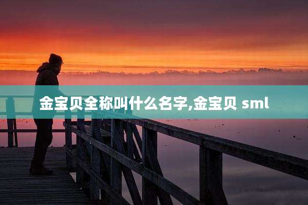 金宝贝全称叫什么名字,金宝贝 sml