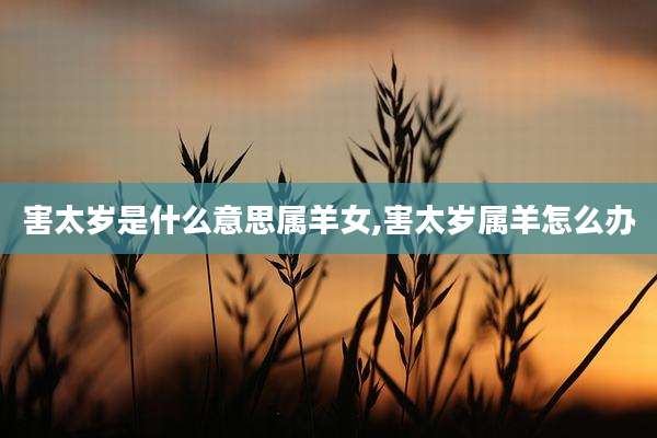 害太岁是什么意思属羊女,害太岁属羊怎么办