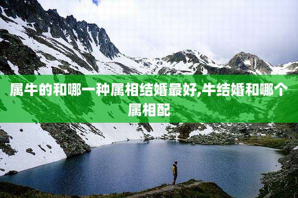 属牛的和哪一种属相结婚最好,牛结婚和哪个属相配