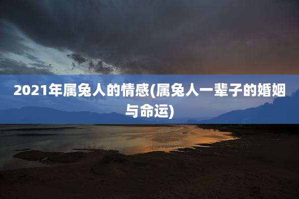 2021年属兔人的情感(属兔人一辈子的婚姻与命运)