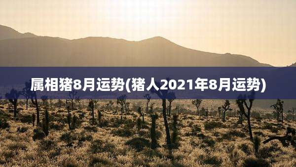 属相猪8月运势(猪人2021年8月运势)