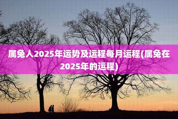 属兔人2025年运势及运程每月运程(属兔在2025年的运程)
