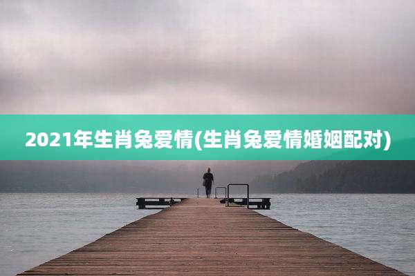 2021年生肖兔爱情(生肖兔爱情婚姻配对)