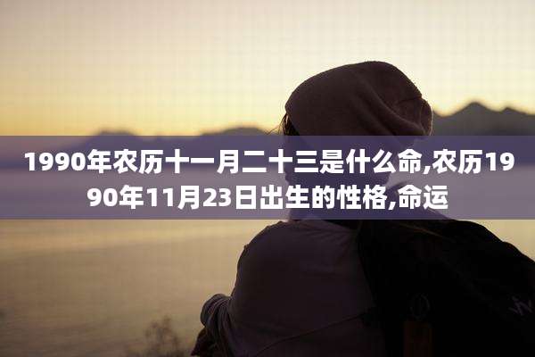 1990年农历十一月二十三是什么命,农历1990年11月23日出生的性格,命运