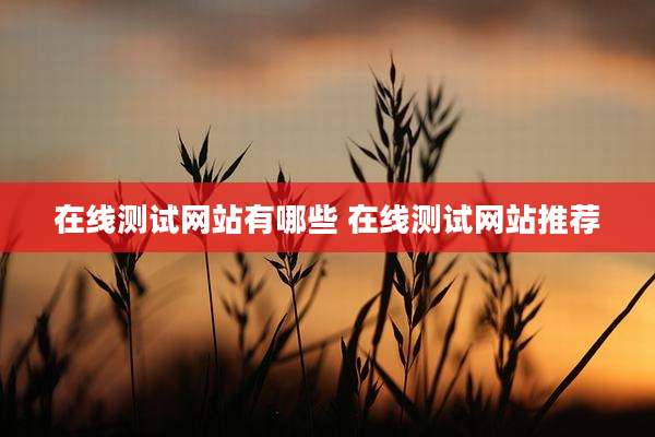 在线测试网站有哪些 在线测试网站推荐