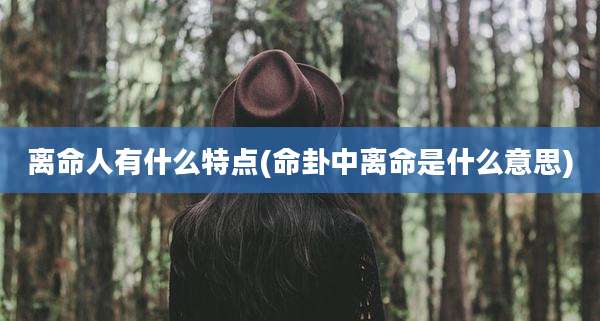 离命人有什么特点(命卦中离命是什么意思)