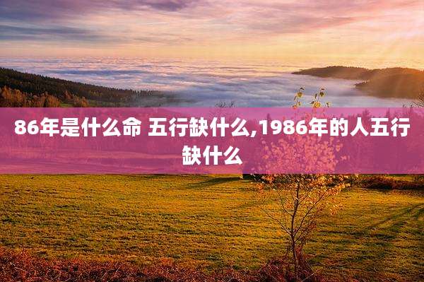 86年是什么命 五行缺什么,1986年的人五行缺什么