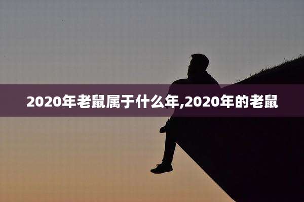 2020年老鼠属于什么年,2020年的老鼠