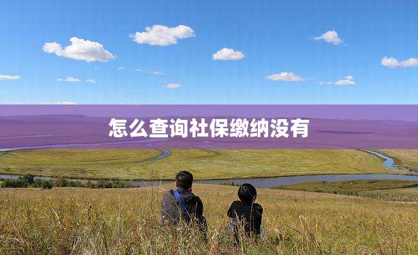 怎么查询社保缴纳没有