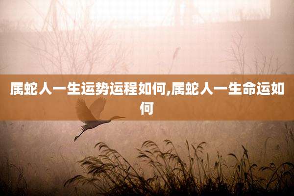 属蛇人一生运势运程如何,属蛇人一生命运如何
