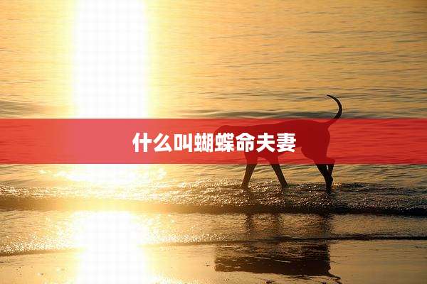 什么叫蝴蝶命夫妻